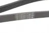 6PK1401EXTRA Дорожковый ремень CONTITECH підбір по vin на Brocar