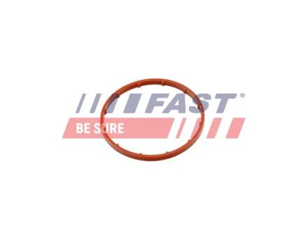 FT50701 Прокладка вакуумного насоса CITROEN BERLINGO 96> 2.0HDI/2.2HDI FAST підбір по vin на Brocar