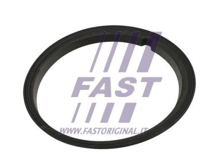 FT48502 Прокладка паливного насоса FIAT FIORINO 07> 1.3 JTD FAST підбір по vin на Brocar