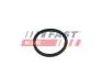 FT49854 УПЛОТНИТЕЛЬ FIAT TALENTO 16&gt; ТРУБА ИНТЕРКУЛЛЕРА FAST підбір по vin на Brocar