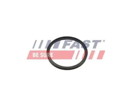 FT49857 Ущільнювальне кільце, шланг подачі наддувального повітря FAST підбір по vin на Brocar