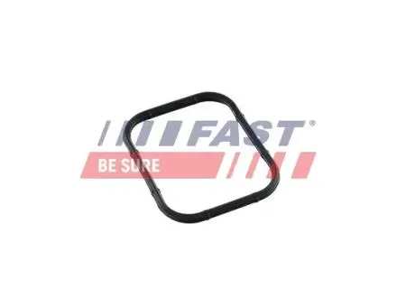FT49421 USZCZELKA KOLEKTORA FIAT SCUDO 07- SSACY FAST підбір по vin на Brocar