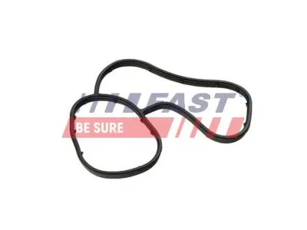 FT48941 USZCZELKA RENAULT MASTER 10- CHLODNICA FAST подбор по vin на Brocar