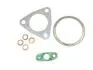 ZESTAW USZCZELEK TURBINY CITROEN JUMPER FT48402