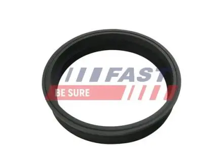 FT48501 USZCZELKA POMPY PALIWA FIAT DUCATO 02- FAST подбор по vin на Brocar