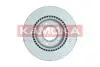 103569 TARCZA HAM PRZOD W KAMOKA підбір по vin на Brocar