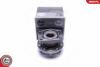 PIASTA TYL L/P 29SKV490