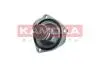 7710081 TERMOSTAT KPL KAMOKA підбір по vin на Brocar