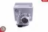 Корпус дросельної заслінки 12SKV096