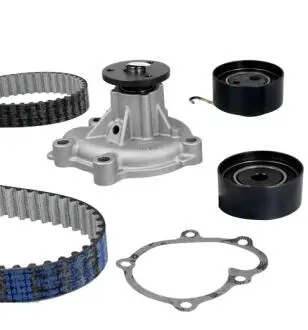 3008341 ROZRZAD KPL.Z POMPA ASTRA G 03- 1.7CDTI METELLI подбор по vin на Brocar