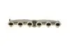 55749SET Коллектор выпускной BMW X5 (E53) 3.0 TD 00-07 M57 D30 AIC підбір по vin на Brocar