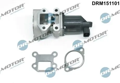 DRM151101 ZAWOR EGR Z USZCZELKA DR.MOTOR подбор по vin на Brocar