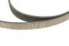 529052410 Комплект ремня генератора Ford Fiesta/Focus 1.0 12- INA підбір по vin на Brocar