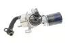 9826074680 КОРПУС ОЛІЇ. PEUGEOT/CITROEN підбір по vin на Brocar