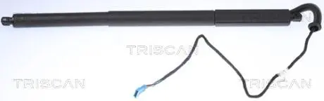 871011306 SIŁOWNIK ELEKTRYCZNY POKRYWY BAGAŻNIKA BMW X3 09.10-08.17 TRISCAN подбор по vin на Brocar