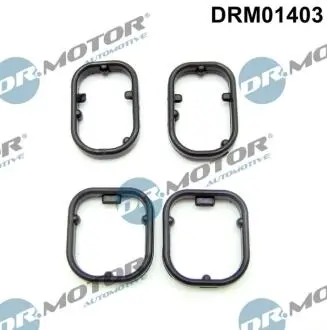 DRM01403 Прокладка корпуса теплообмінника масляного фільтра BMW 5 F10 DR.MOTOR підбір по vin на Brocar