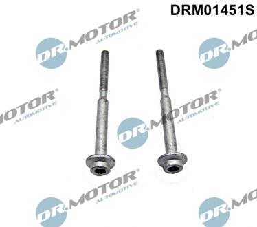 DRM01451S ŚRUBA WTRYSKIWACZA VW GOLF 1,6TDI 13- 2SZT. DR.MOTOR подбор по vin на Brocar