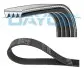 Ремінь поліклиновий (Elastic) 4PK890 FOCUS III 2.0 ST -12 4PK890EE