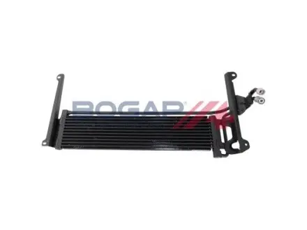 A4223100 Охладитель BOGAP подбор по vin на Brocar