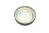 538046630 Помпа воды BMW 1 (F20/21)/3 (F30/F80) 1.6 11- (N13)/Citroen Berlingo/Peugeot Partner 1.4/1.6 06- INA підбір по vin на Brocar