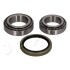 Подшипник ступицы колеса (комплект) Opel Monterey b 3.0 (98-99),Opel Monterey b 419001