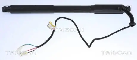 871011304 SIŁOWNIK ELEKTRYCZNY POKRYWY BAGAŻNIKA BMW X5 10.06-07.13 TRISCAN подбор по vin на Brocar