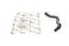 Патрубок радіатора FordTransit 2.2 TDCi 11- (теплообмінника) CS 22042 İBR