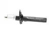 SSA10365 Амортизатор (передний) Audi A3/Q2/Seat Leon/Skoda Octavia III/VW Golf VII 12-/Touran 18- KAVO підбір по vin на Brocar
