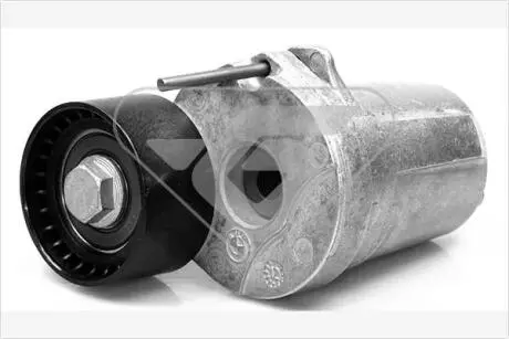 T0073 Натяжник ременя генератора BMW X3/(E83)/X5(E71,E72)/5(F10) 07-17 HUTCHINSON підбір по vin на Brocar