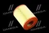 Фильтр воздушный ExtraClean  MERCEDES (RIDER) REC130021