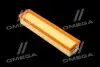 Фильтр воздушный ExtraClean  DACIA (RIDER) REC130196