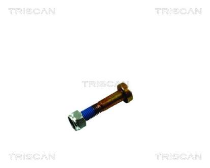 850016861 ŚRUBA WAHACZA FORD 94- M12X1,5 Z NAKRĘTKĄ TRISCAN подбор по vin на Brocar