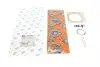 Комплект прокладок турбины Ford Connect 1.8TDCI 02-13 KT130025E