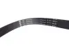 529053810 Комплект ремня генератора Audi A4/A5/A//Q7/Q8 15-/VW Touareg 3.0TDI 18- (6PK2460) INA підбір по vin на Brocar