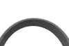 529053810 Комплект ремня генератора Audi A4/A5/A//Q7/Q8 15-/VW Touareg 3.0TDI 18- (6PK2460) INA підбір по vin на Brocar