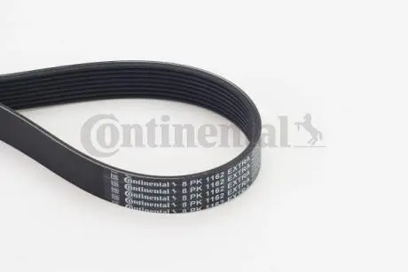 8PK1162EXTRA Доріжковий ремінь CONTITECH підбір по vin на Brocar