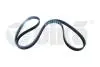 Ремень поликлиновой 6PK1885 3,0L mot.ASN,ASN(03-),BBJ Audi A4 (04-06) (990317756 99031775601