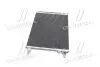 TP15940319 Конденсатор кондиционера SKODA OCTAVIA 12-, AUDI, VW PASSAT 14- (TEMPEST) TEMPEST підбір по vin на Brocar