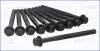 К-кт болтів ГБЦ ANTARA A 44594 CDTi 10-,CHEVROLET  ORLANDO 2.0D -11 81060600