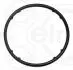 Прокладка помпи води VW Caddy IV/Crafter/T6 2.0 TDI 15- 332.850