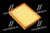 REC130226 Фільтр повітряний ExtraClean OPEL (RIDER) RIDER підбір по vin на Brocar
