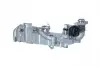 ZAWÓR EGR BMW F20/F21/F30/F90 2,0D (MODUŁ) 48411