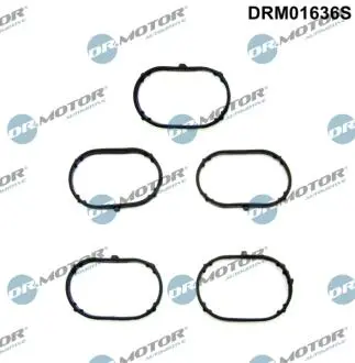 DRM01636S ZESTAW USZCZELEK KOL. SS VW JETTA IV 10- DR.MOTOR подбор по vin на Brocar