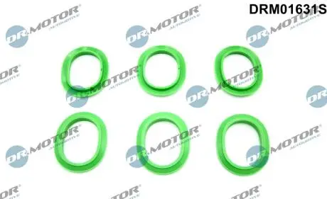 DRM01631S Комплект прокладок гумових DR.MOTOR підбір по vin на Brocar
