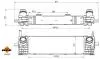 309084 INTERCOOLER BMW X3/X4 2,0D NRF підбір по vin на Brocar