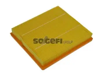 CA10685 Воздушный фильтр двигателя FRAM подбор по vin на Brocar
