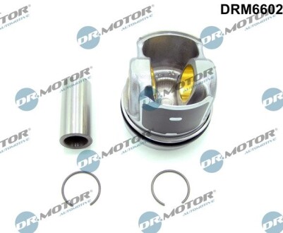 DRM6602 TŁOK FORD TRANSIT 2,0 15- DR.MOTOR підбір по vin на Brocar