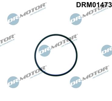 DRM01473 USZCZELKA POMPY WTR. DR.MOTOR подбор по vin на Brocar