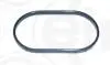 Прокладка трубки охлаждающей жидкости BMW 3 (E90)/7 (F01-F04) 06-12 N54/N55 741.790
