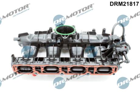 DRM21817 Колектор впускний DR.MOTOR підбір по vin на Brocar